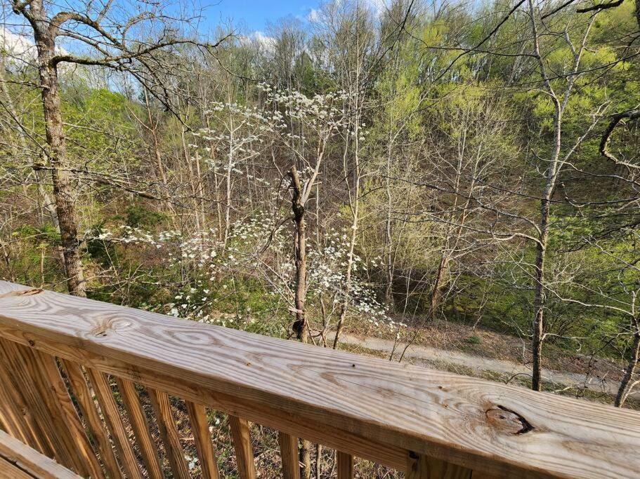 Dancing Bear Cabin- Relax & Enjoy! Sevierville Esterno foto