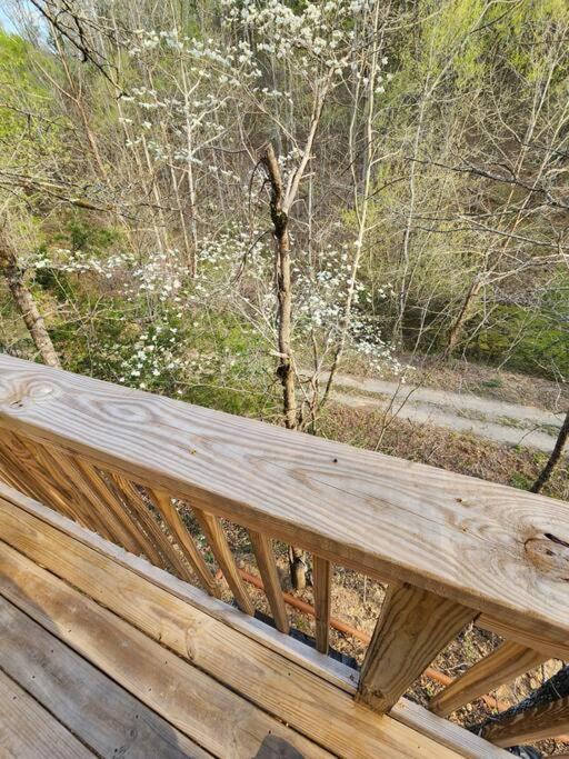 Dancing Bear Cabin- Relax & Enjoy! Sevierville Esterno foto